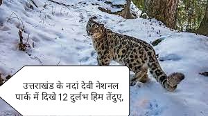 उत्तराखंड के नदां देवी नेशनल पार्क में दिखे 12 दुर्लभ हिम तेंदुए, नेशनल पार्क के हिडन कैमरो में कैद की गई गतिविधियां ,,,,,जानिए इनकी खासियत ……………..
