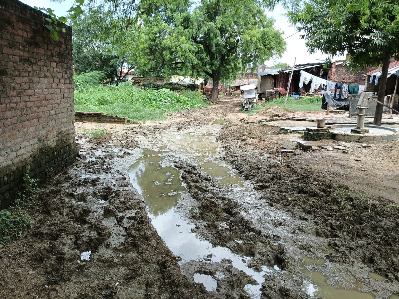 📰 गंदगी से पटे दलदल भरे रास्ते, ग्रामीणों में बीमारी फैलने की आशंका